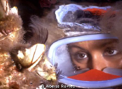The girldiver is looking a Lepas anatifera by Alberto Romeo 